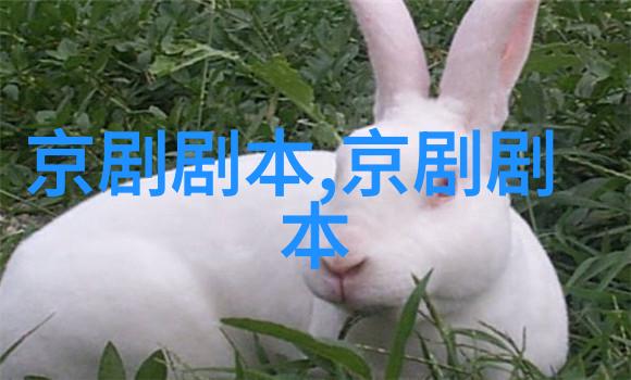 京剧长生乐剧本唱词
