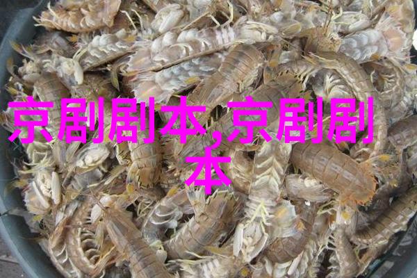 京剧骂曹饯行剧本唱词